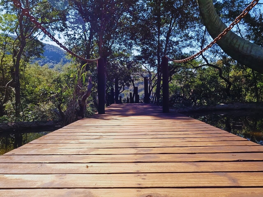 Sudwala Dinosaur Park-尼斯普鲁特必去景点