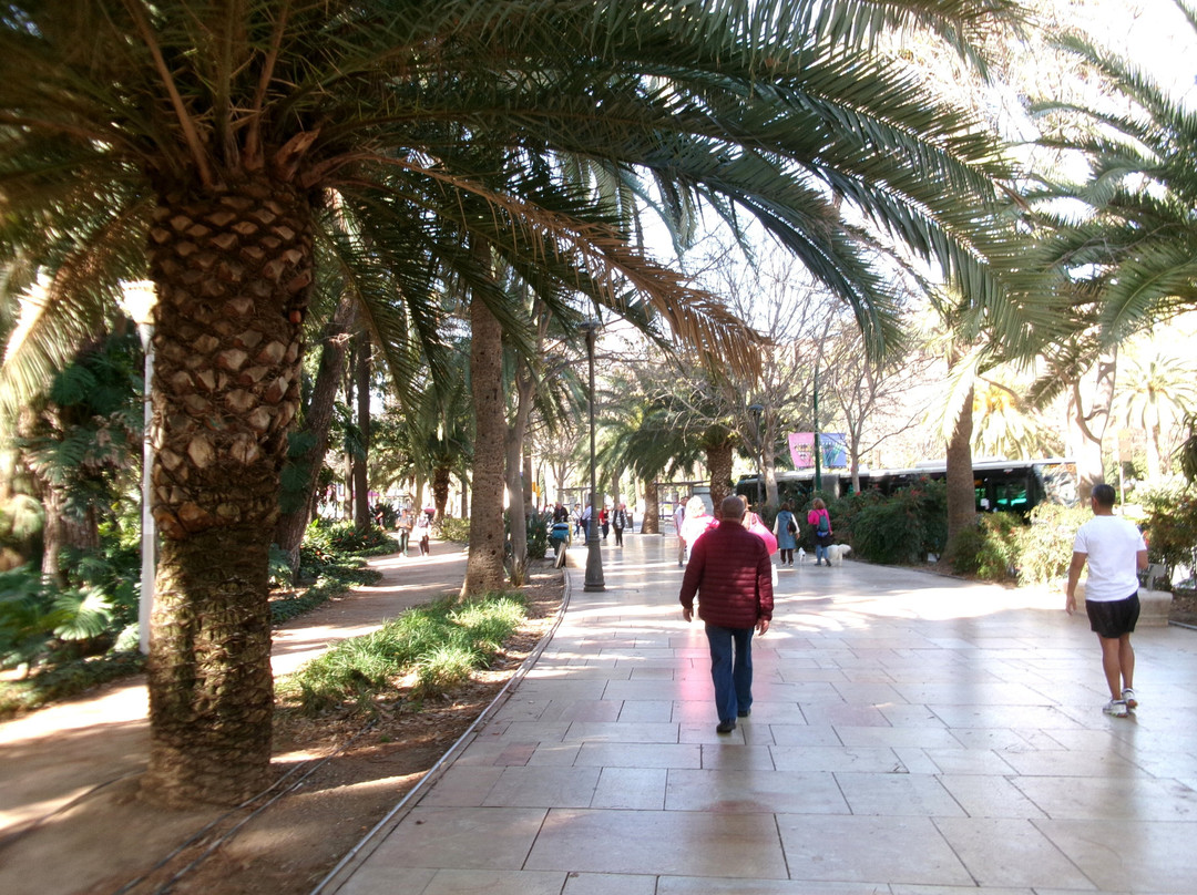 Parque de Malaga-马拉加必去景点