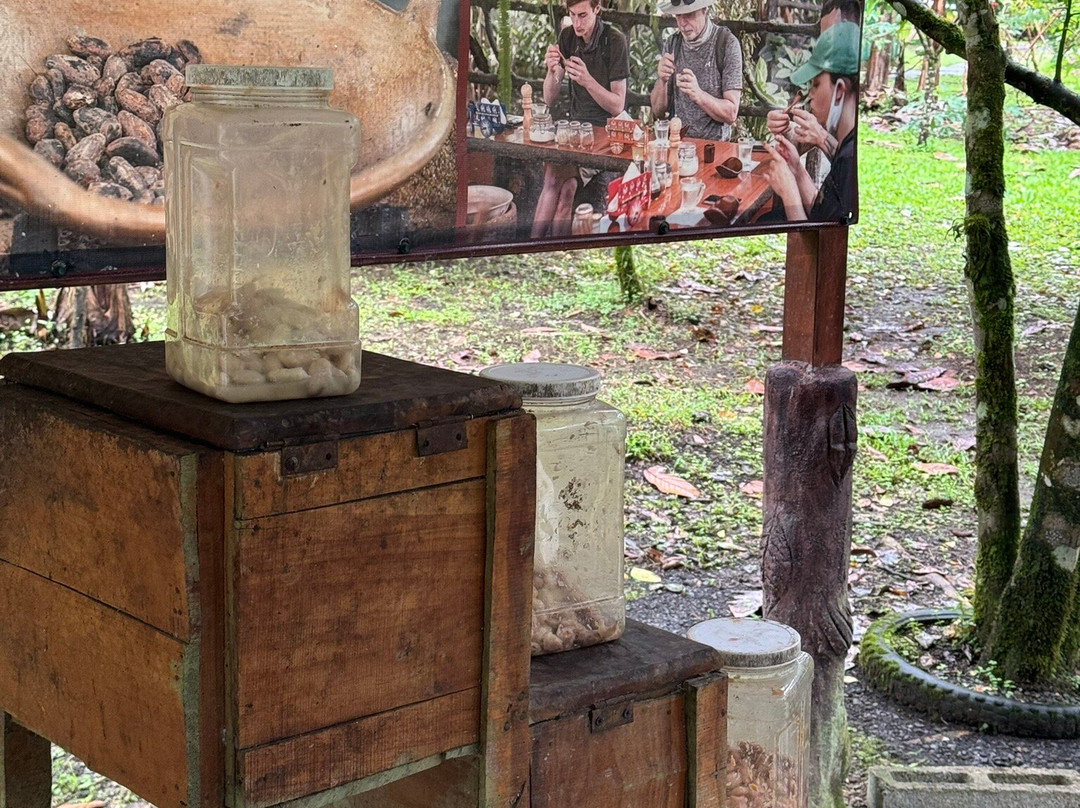 North Fields Coffee And Chocolate Tours-福德圣卡洛斯必去景点