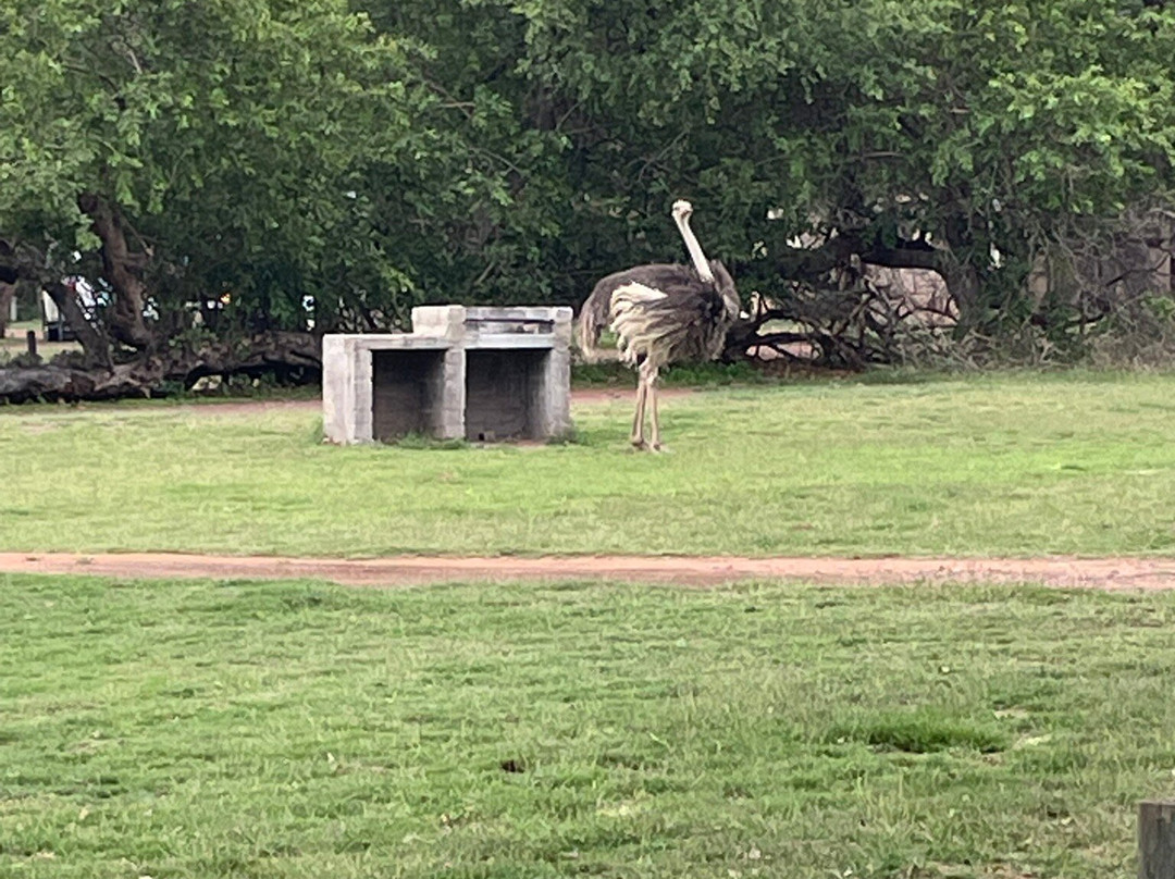 Marakele National Park-水堡必去景点
