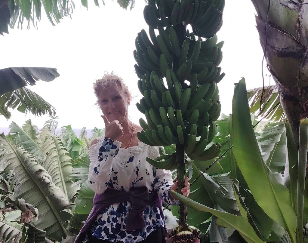 Plaza de La Libertad-加拉奇科必去景点