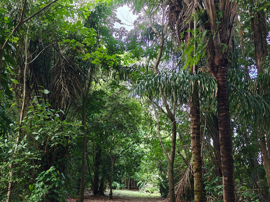 Limeland Tours-特立尼达必去景点