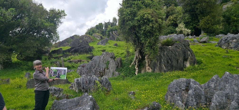 Hairy Feet Scenic Film Location Tour Waitomo-Piopio必去景点