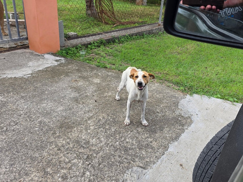 Jah-T Car Rental-圣 约翰必去景点