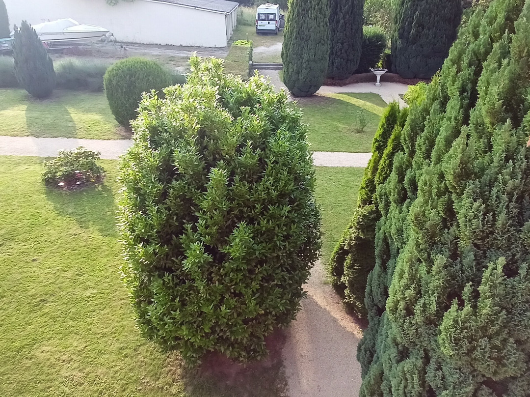 Hotel Cote Jardin主图