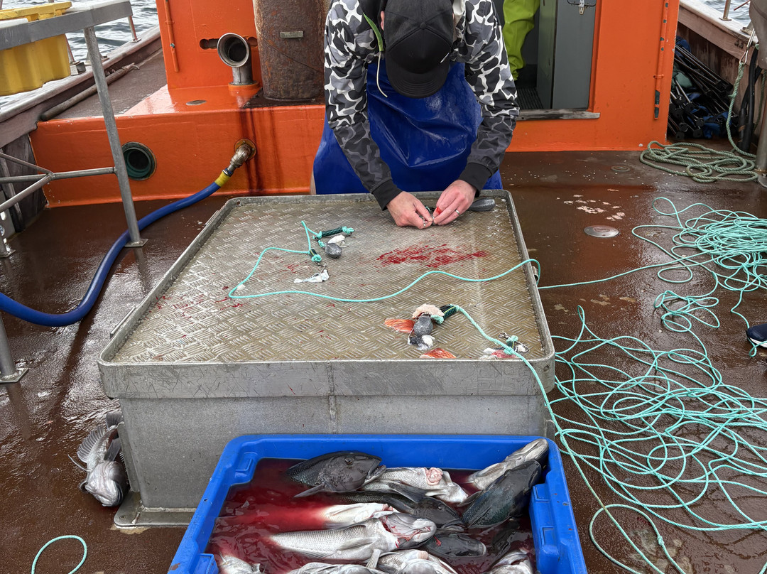 Tequila Fishing & Bird Watching Charters-Oban必去景点