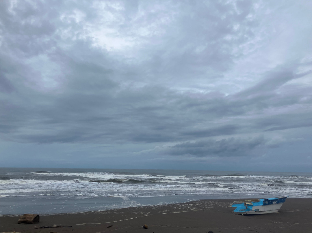 Playa Tortuguero-Barahona必去景点