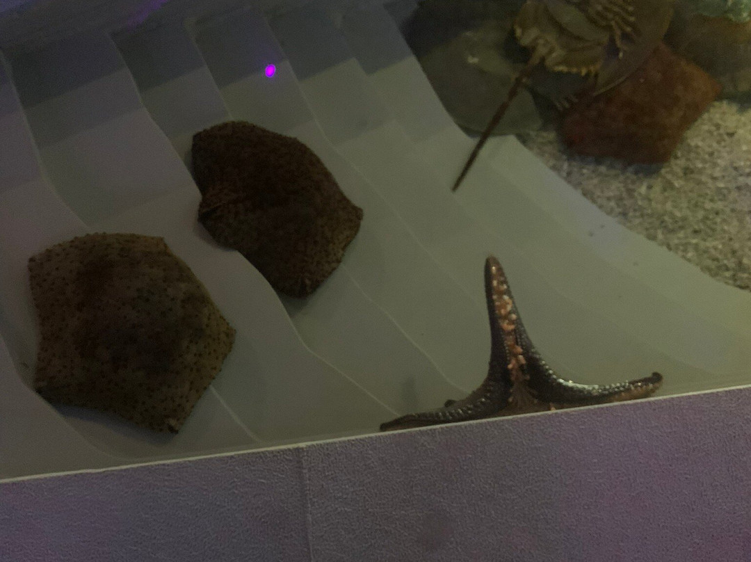 Aquaria Phuket Thailand-普吉镇必去景点