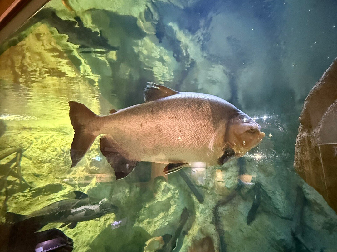 Aquarium du Limousin-利摩日必去景点