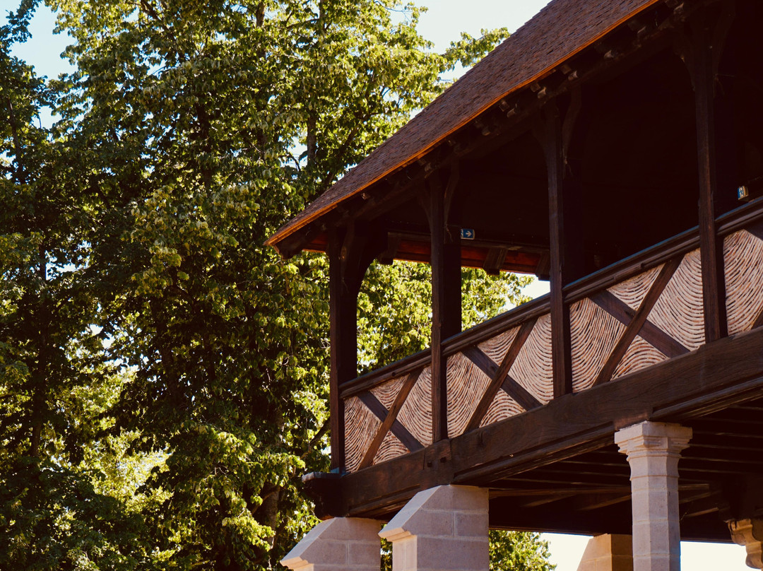 Château des Ducs de Bourbon-蒙吕松必去景点