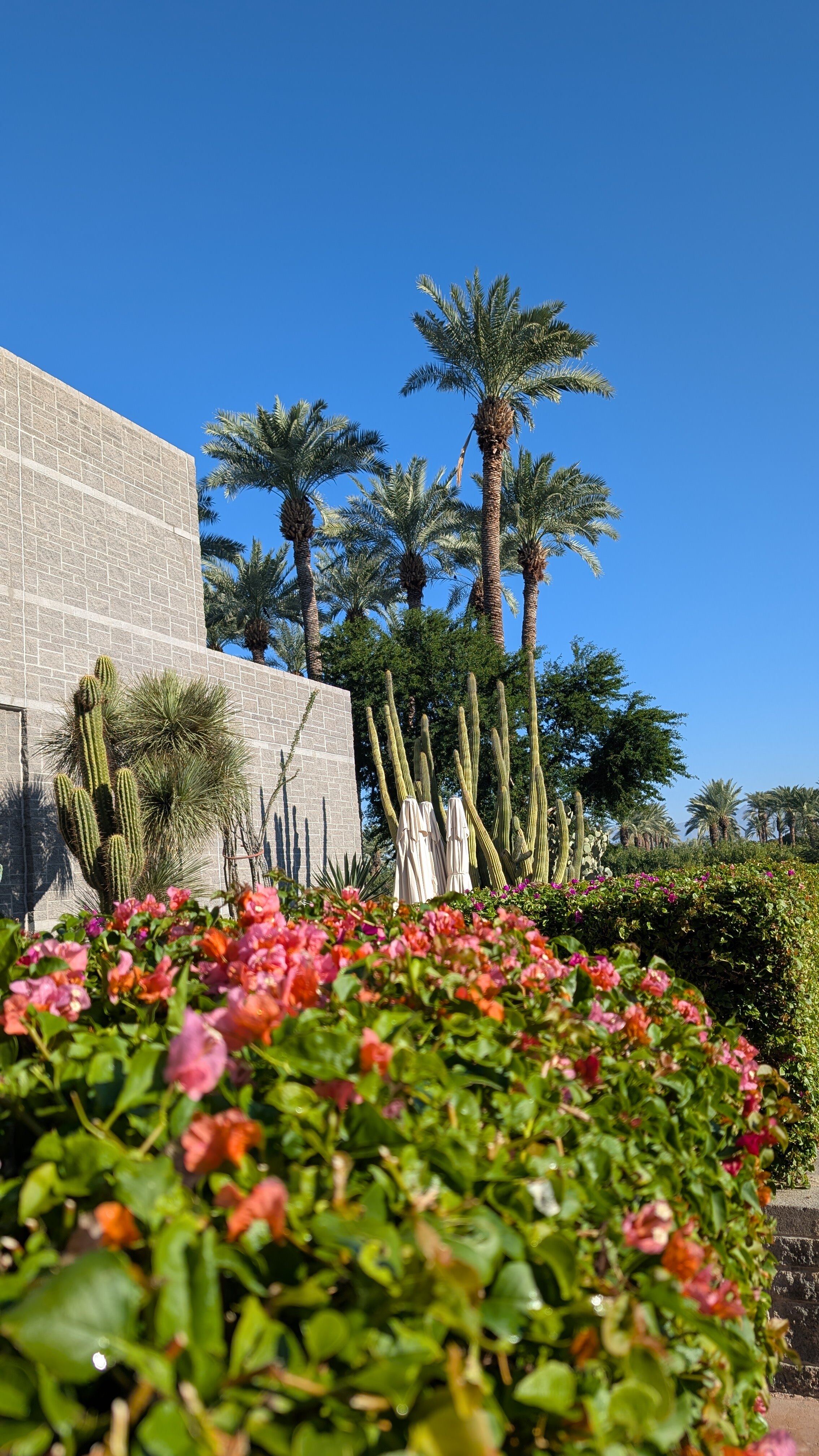Grand Hyatt Scottsdale Resort-官方