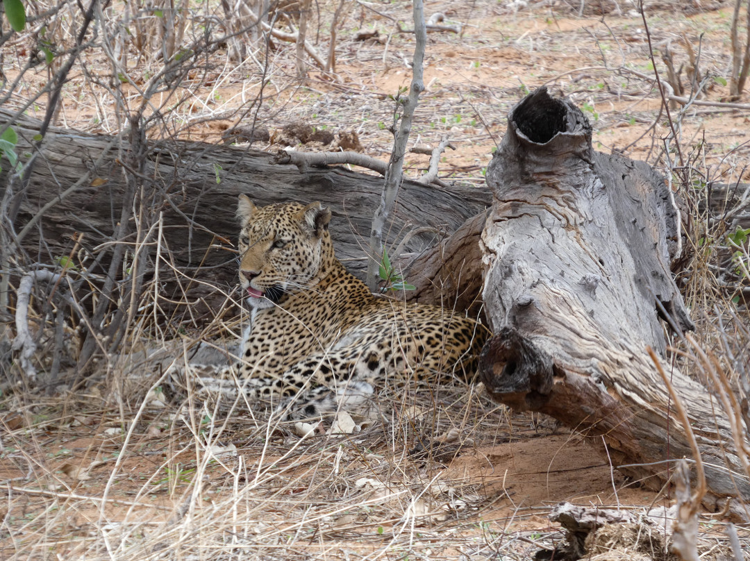 Safari Specialists-马翁必去景点