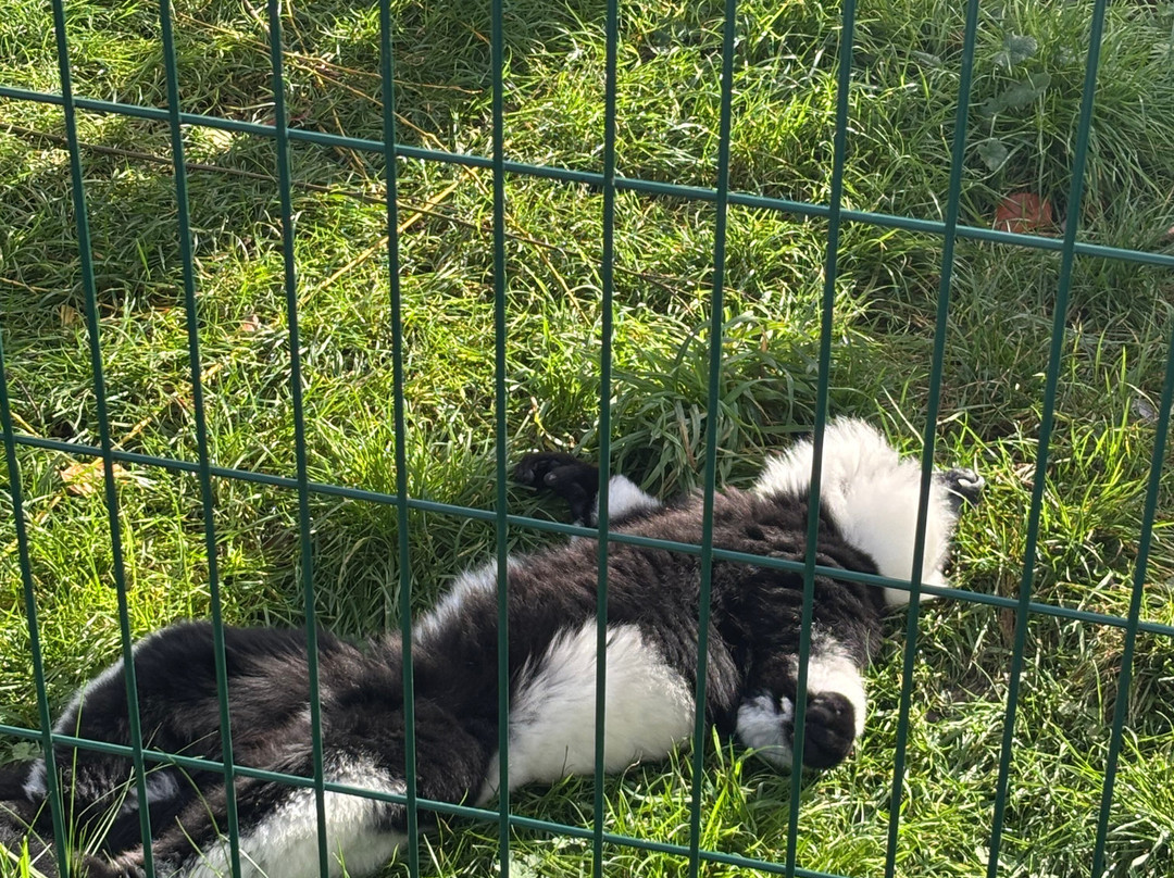 比尔公园-雷丁必去景点