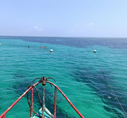 Madzo Tours & Safaris-瓦塔木必去景点