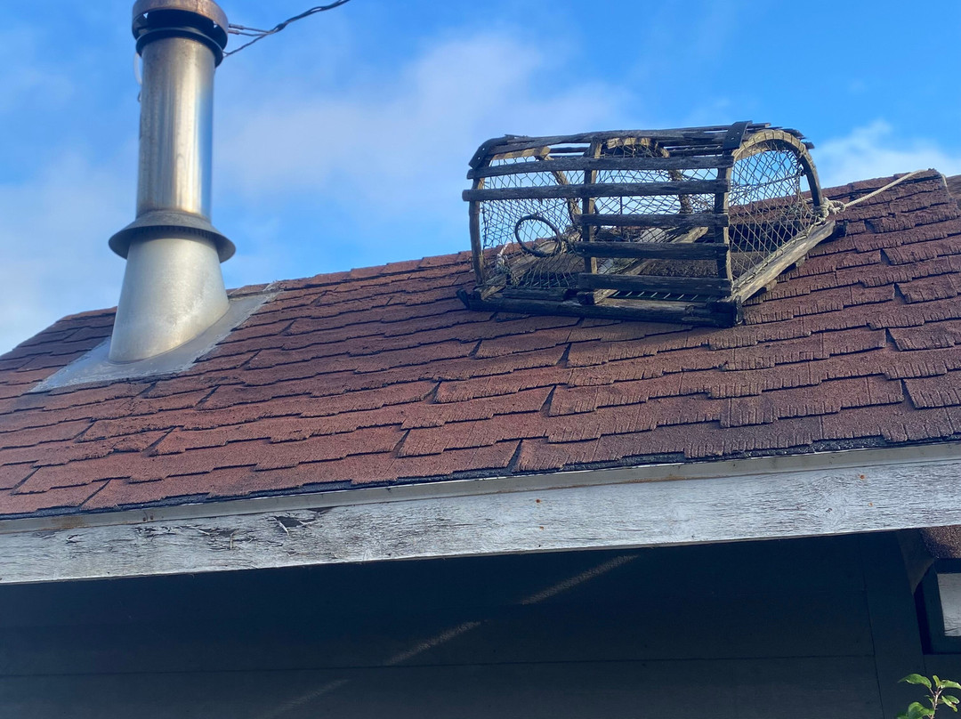 望海住宿加早餐旅馆主图