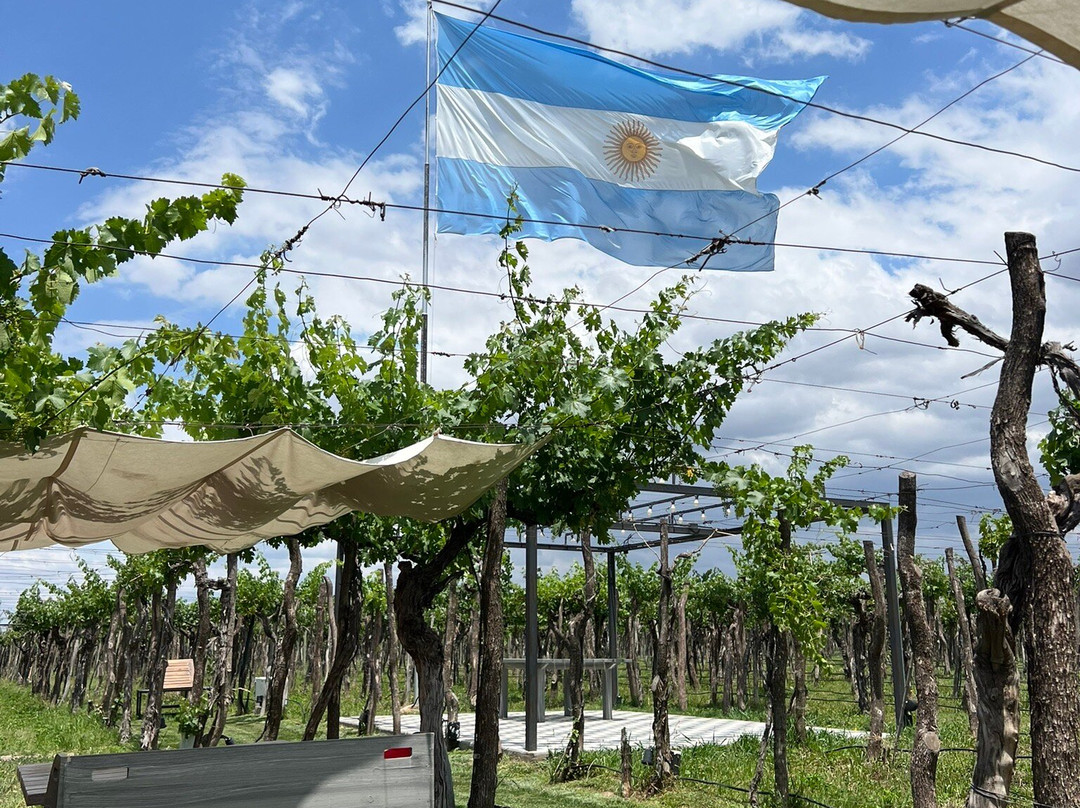 Bodega Kaiken-路冉得库约必去景点