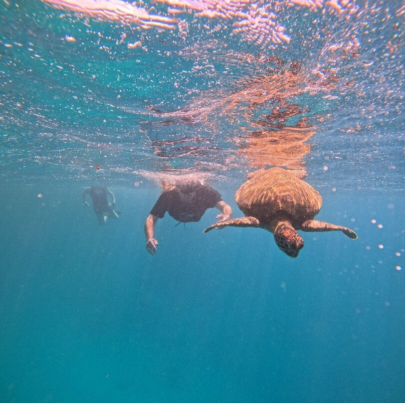 Sea Pace Rarotonga-堤堤卡维加必去景点