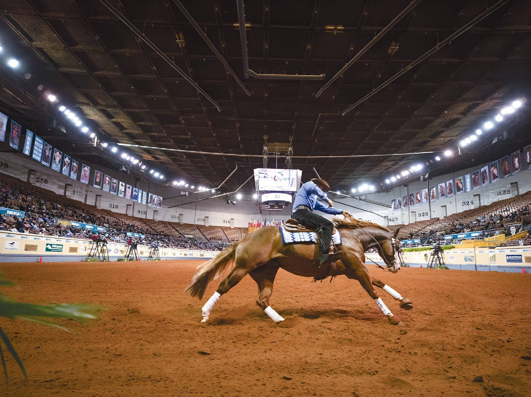 穆尔酒店住宿-Holiday Inn Express & Suites Moore By IHG