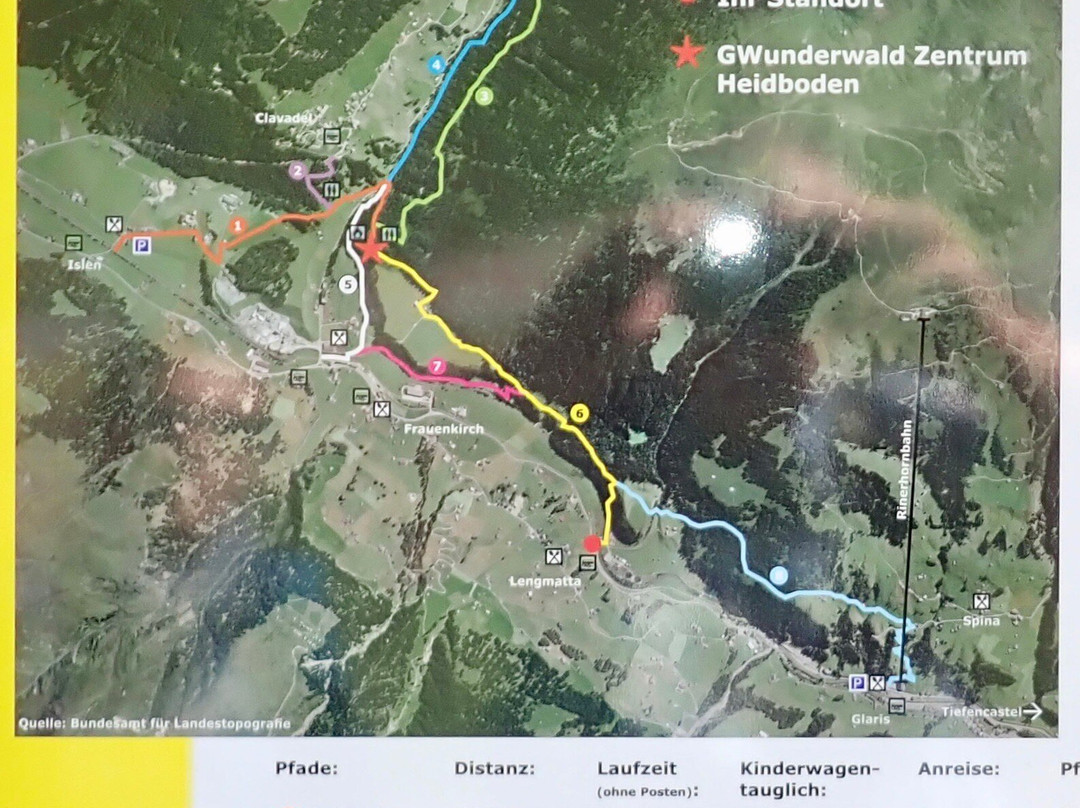 GWunderwald Heidboden Davos