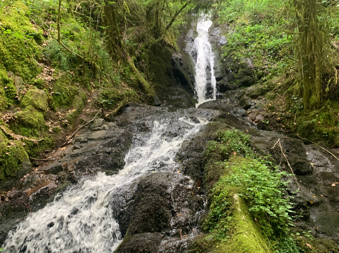 Eglise Saint-Pardoux-Gimel-les-Cascades必去景点