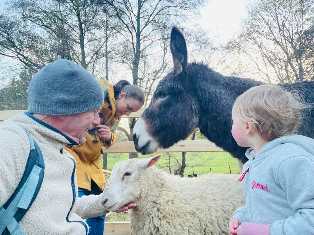 Prinknash Bird And Deer Park-Cranham必去景点