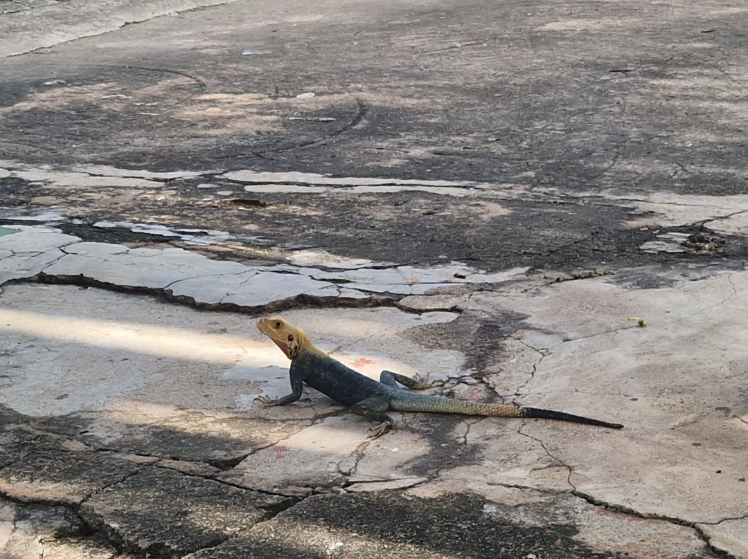 TANF Charity-Tours-Aburi必去景点