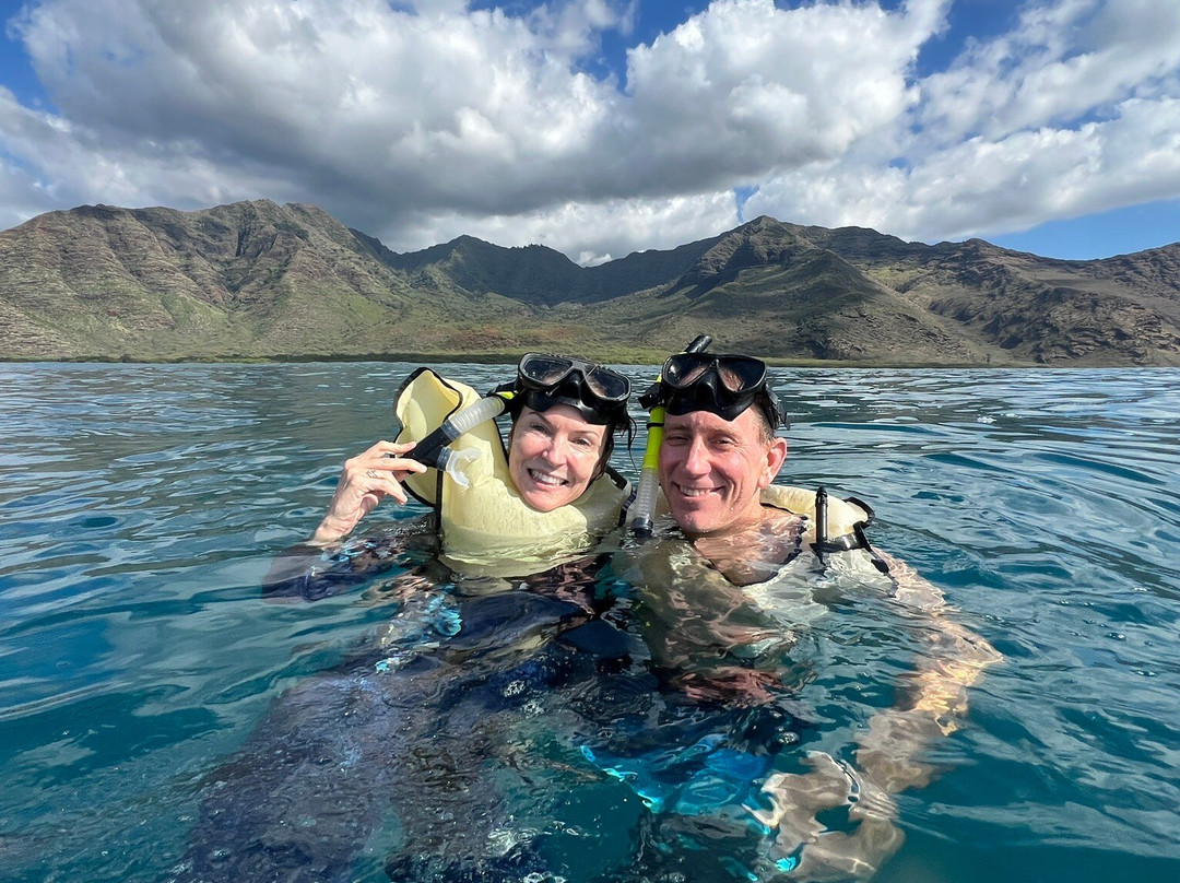 Iruka Hawaii Dolphin-火奴鲁鲁必去景点