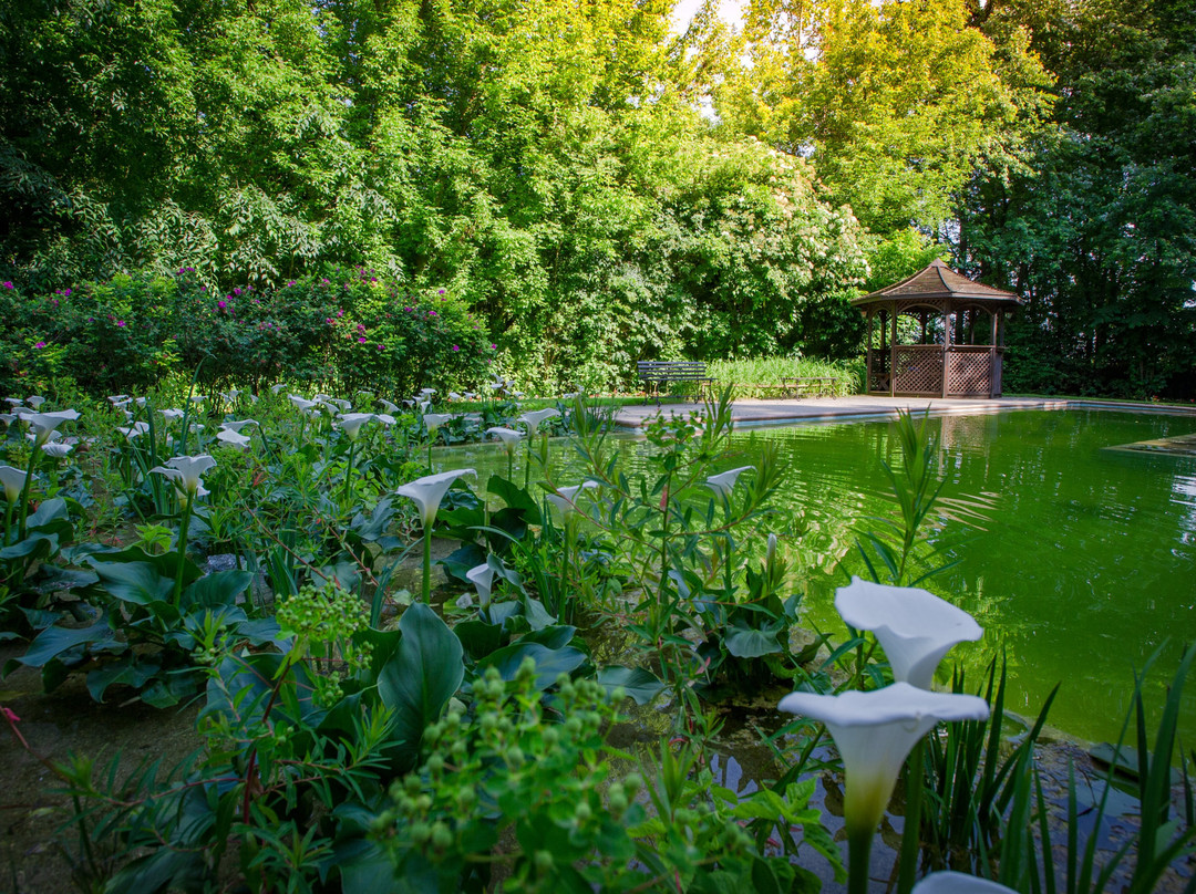 Parco Giardino Tenuta S. Apollonio-Castel Goffredo必去景点