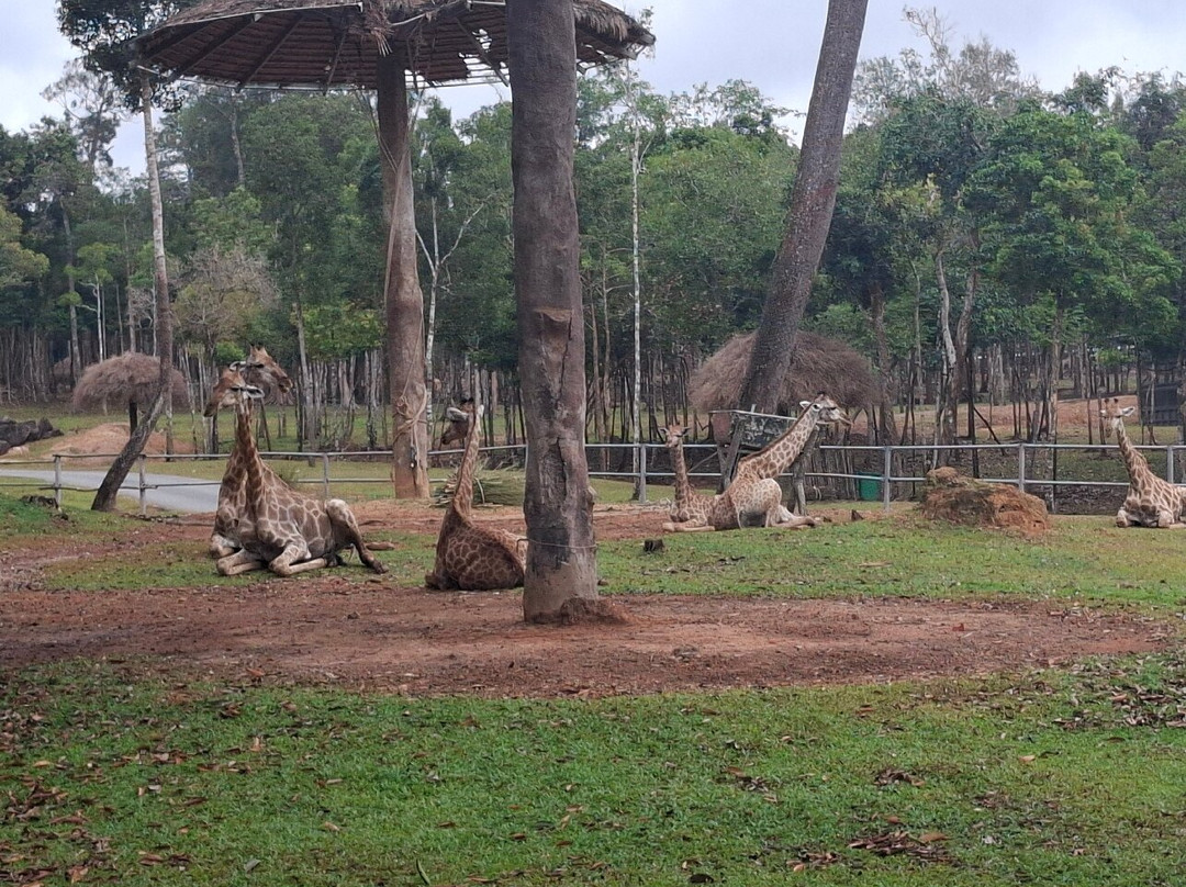 珍珠王国野生动物园-富国岛必去景点