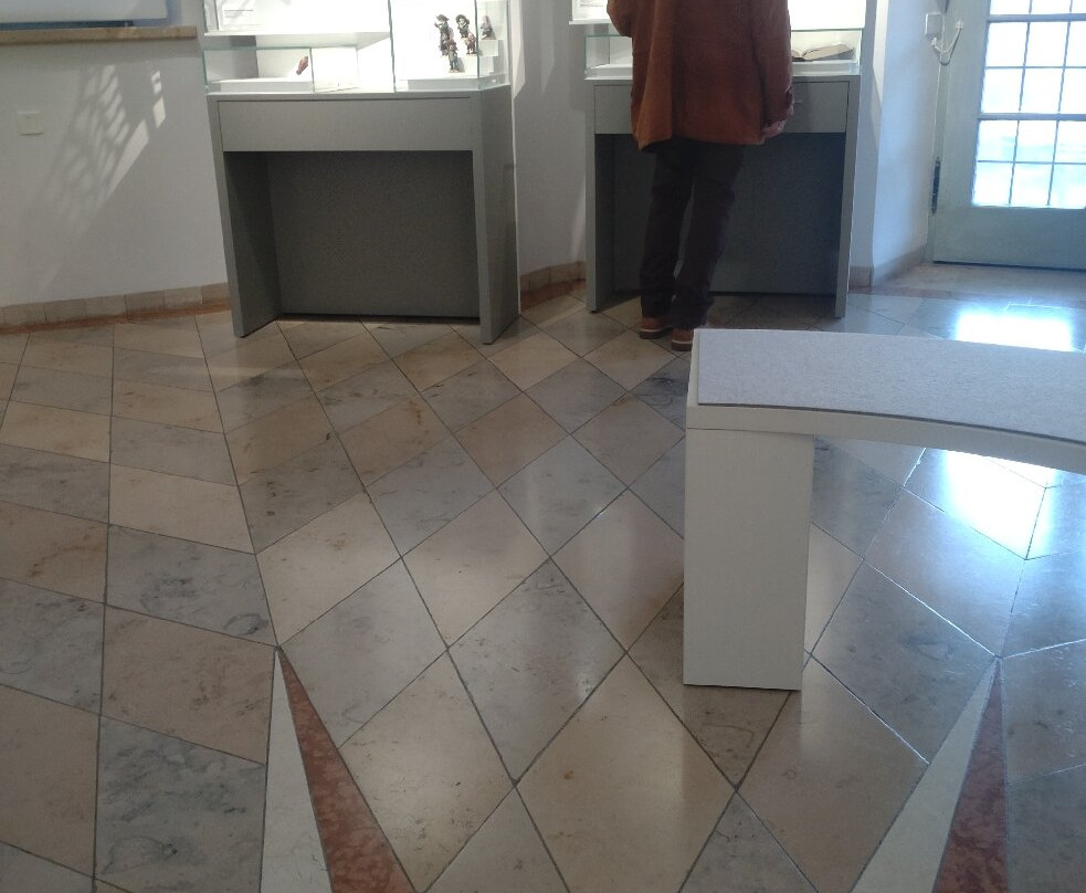 Deutsches Medizinhistorisches Museum-因戈尔施塔特必去景点