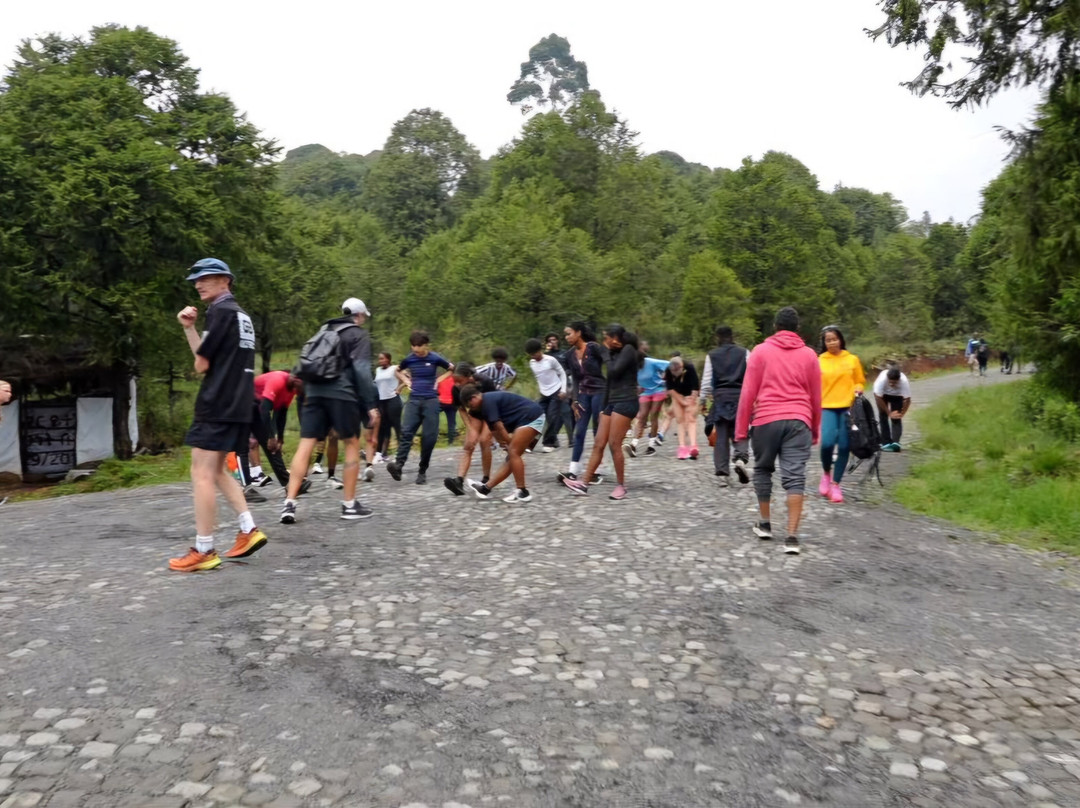 Gullele Botanical Garden-亚的斯亚贝巴必去景点