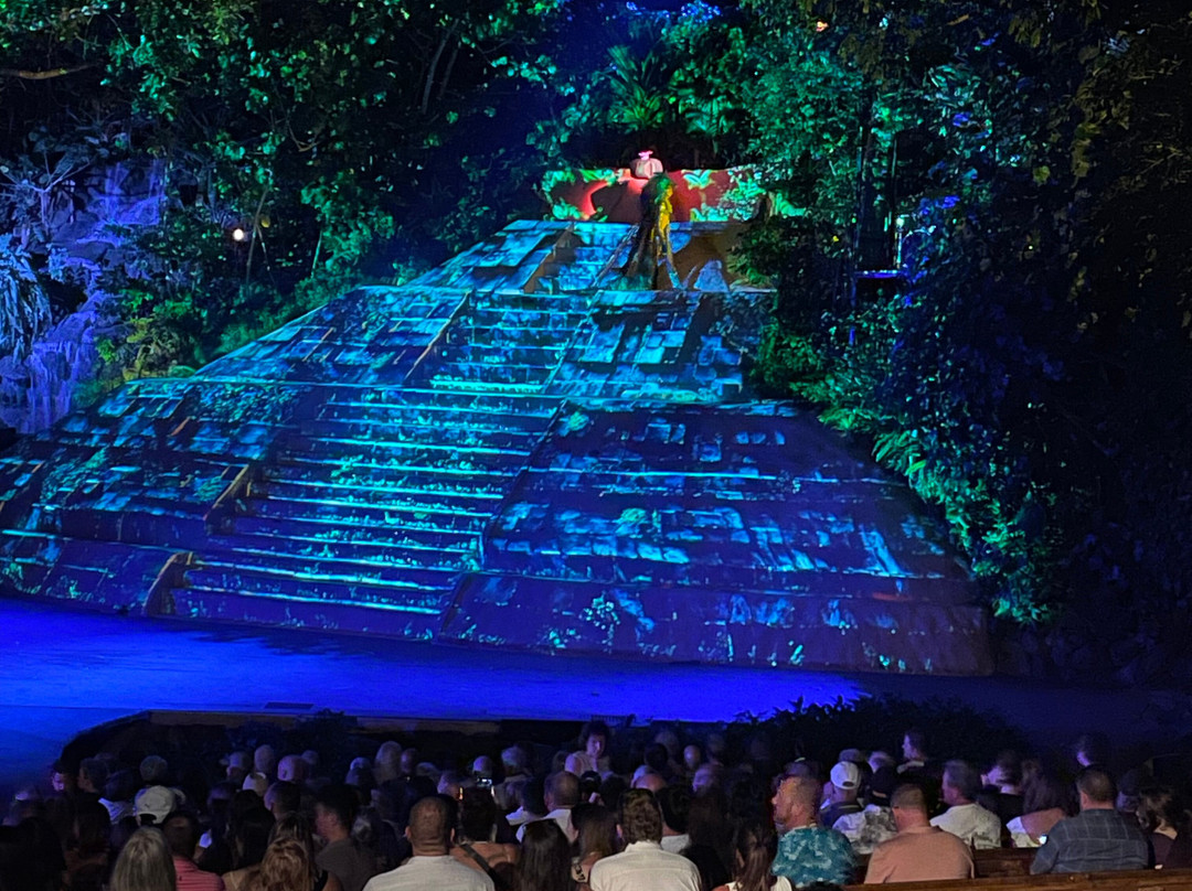 Rhythms of the Night by Vallarta Adventures-瓦拉塔港必去景点