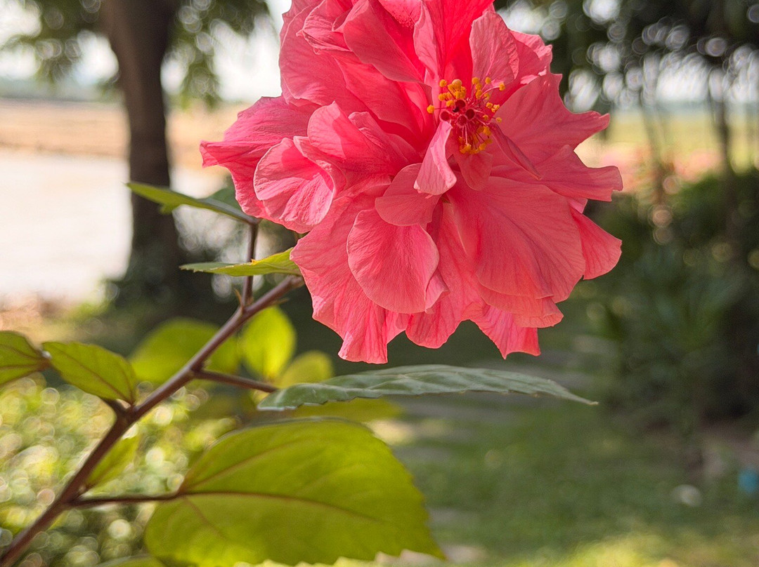 湄考河乡村度假村主图