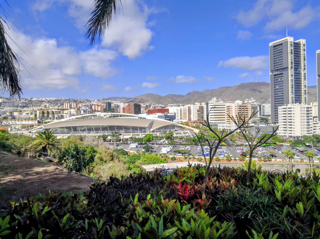 Jardín Botánico del Palmetum-圣克鲁斯-德特内里费必去景点