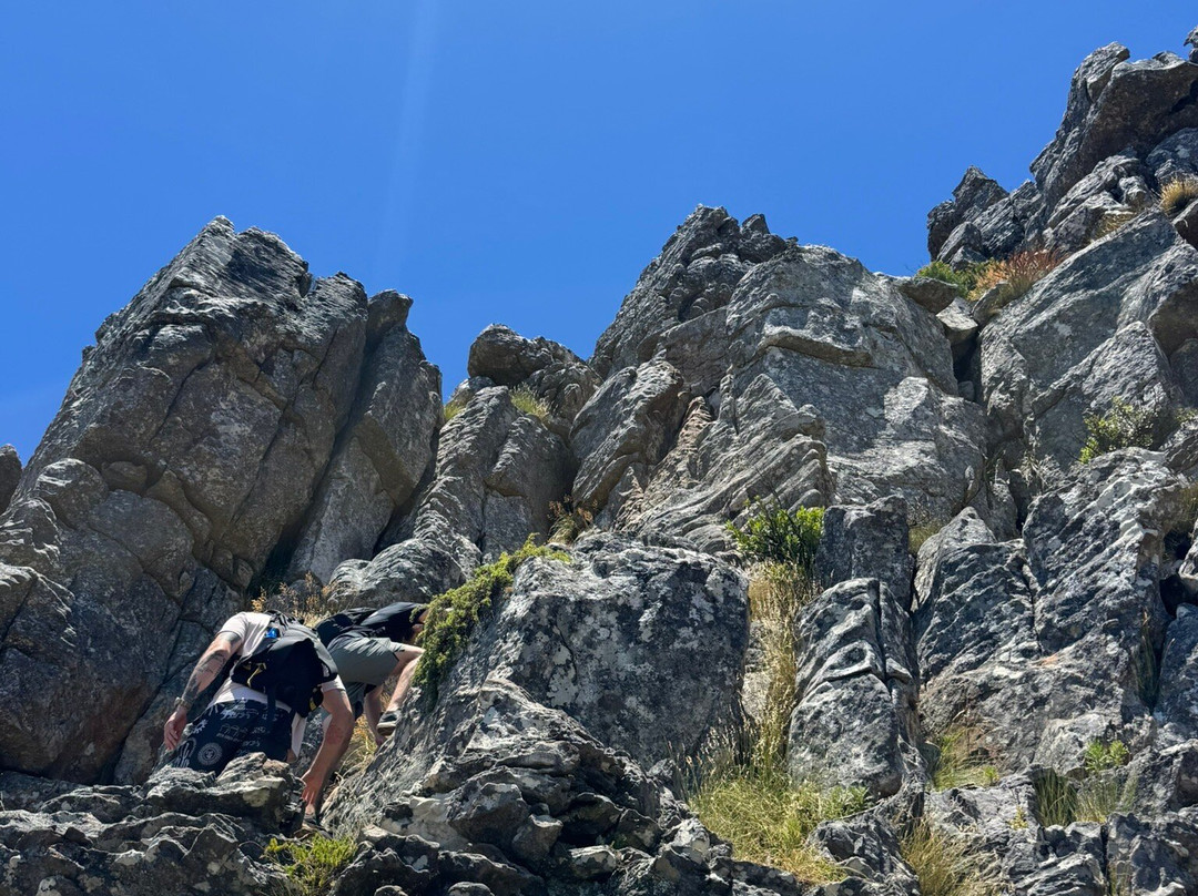 India Venster Trail-开普敦中心区必去景点