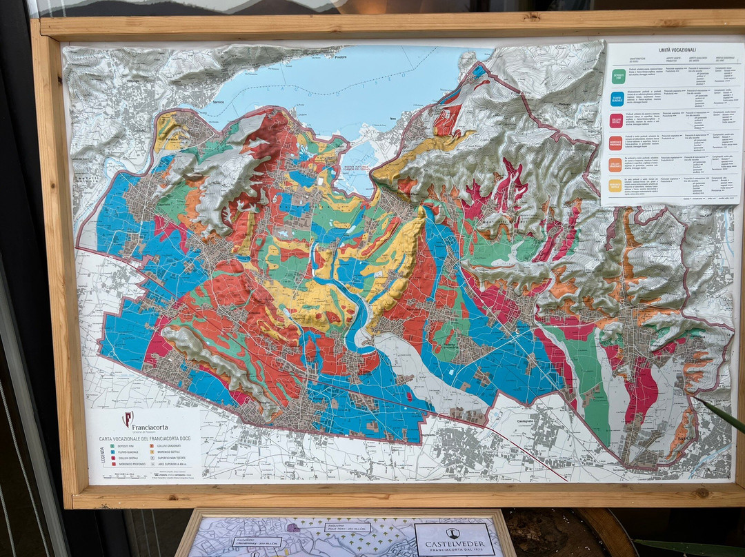 Società Agricola Castelveder-Monticelli Brusati必去景点