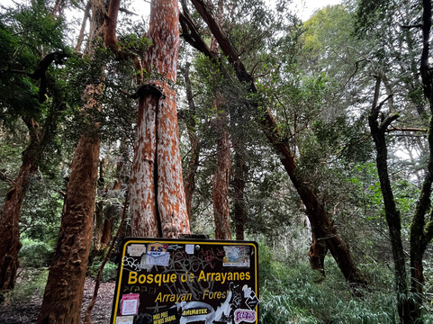 Sendero de los Arrayanes-圣卡洛斯-德巴里洛切必去景点