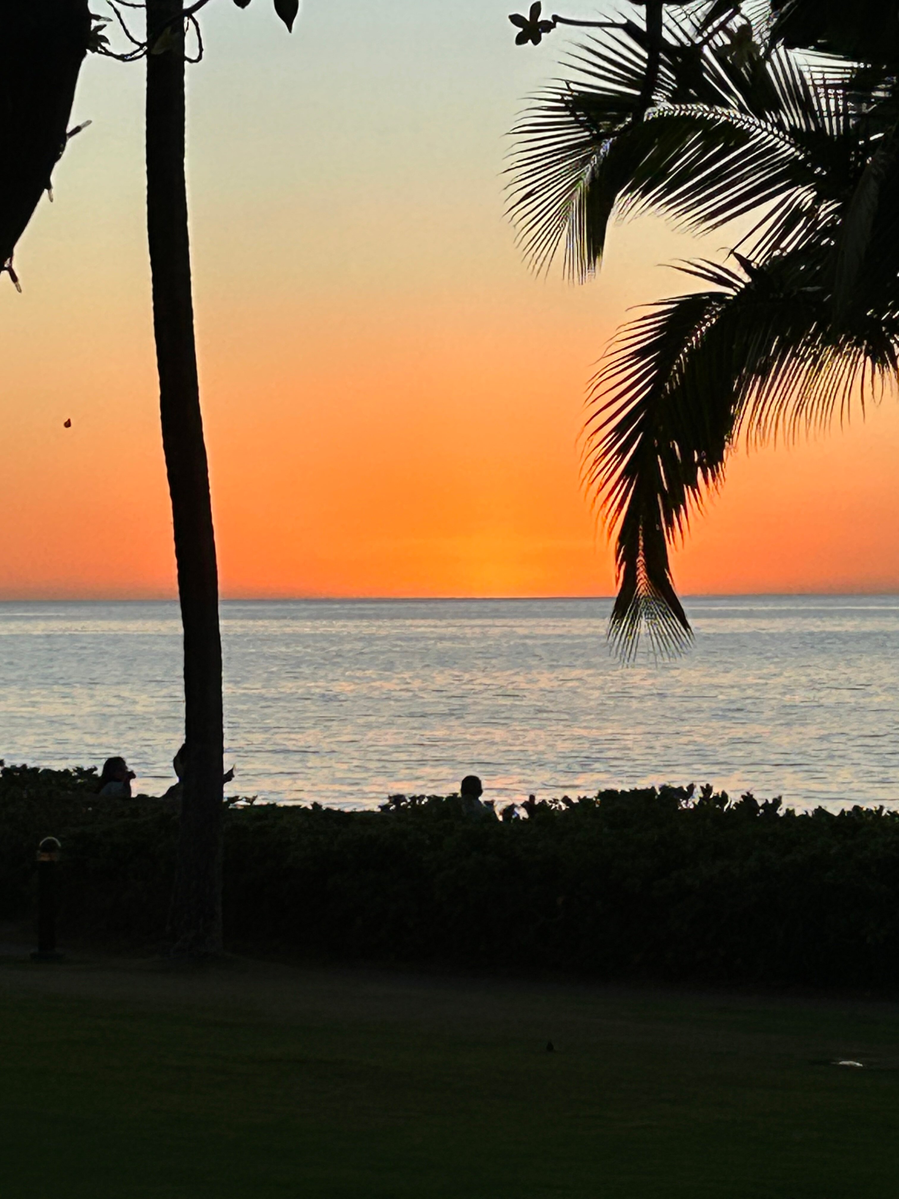 茂宜基亚拉尼费尔蒙酒店-官方