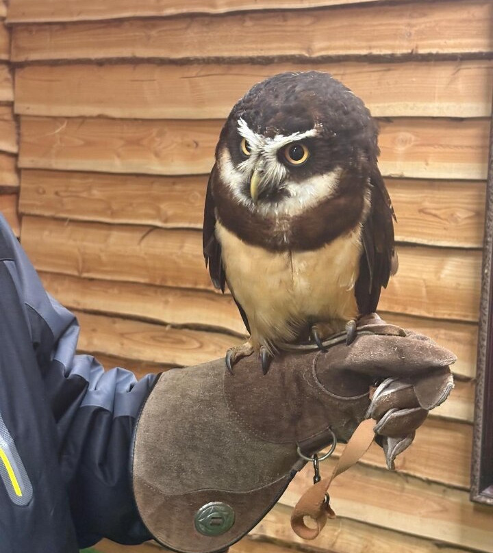 Birds@Work-Berkel en Rodenrijs必去景点