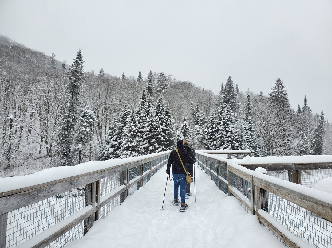 Parc national de la Jacques-Cartier-Stoneham-et-Tewkesbury必去景点