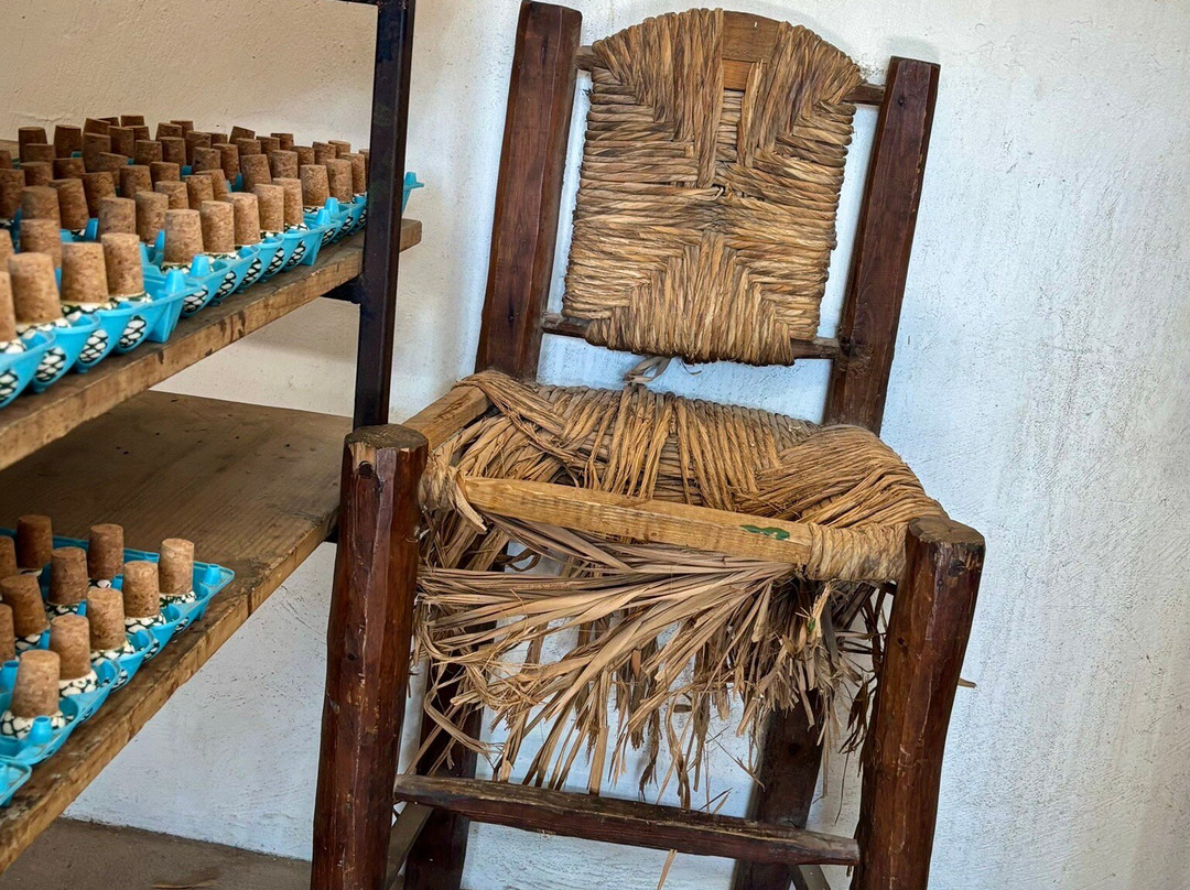 Tequila Fortaleza-特基拉必去景点