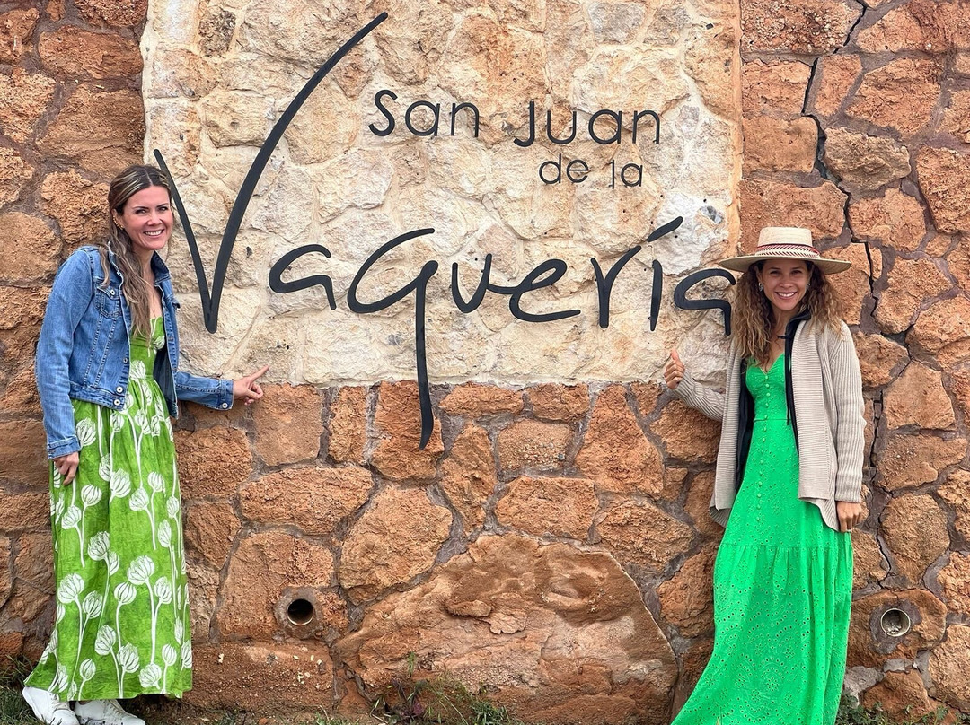 Viñedo San Juan De La Vaqueria-萨尔蒂必去景点