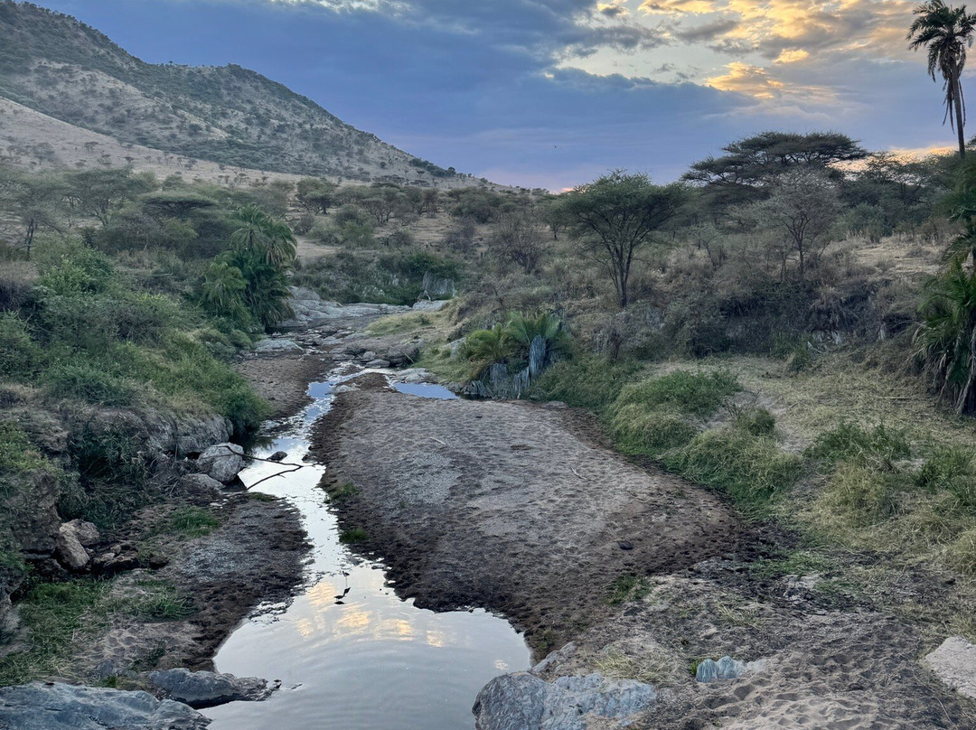 TOPY TOURS-阿鲁沙必去景点
