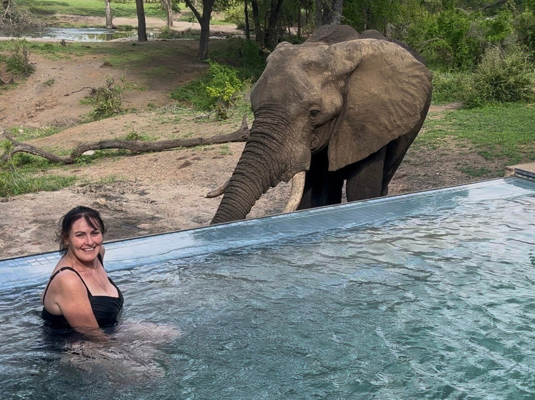 Honeyguide Tented Safari Camps - Mantobeni