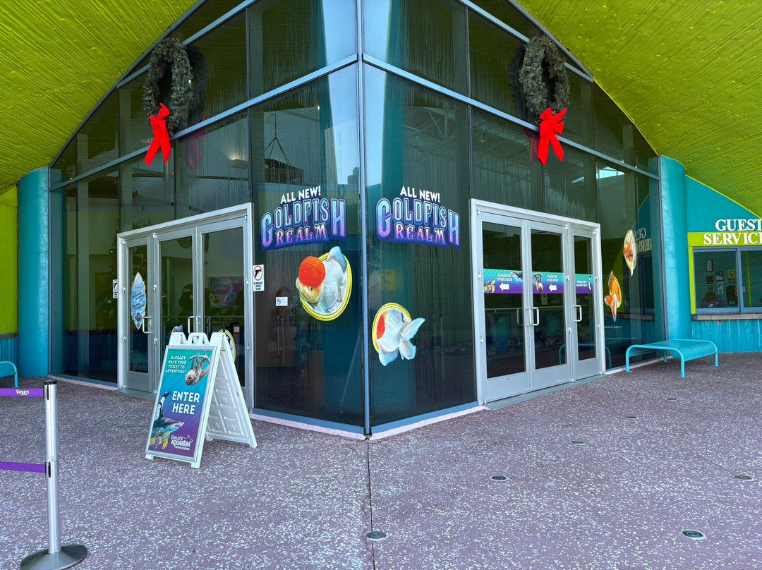 里普利水族管-美特尔海滩必去景点