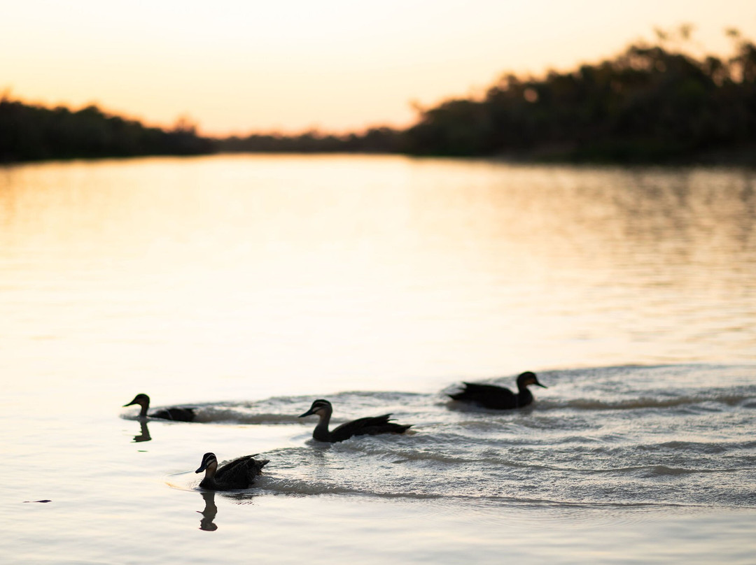 Outback Aussie Tours-Longreach必去景点