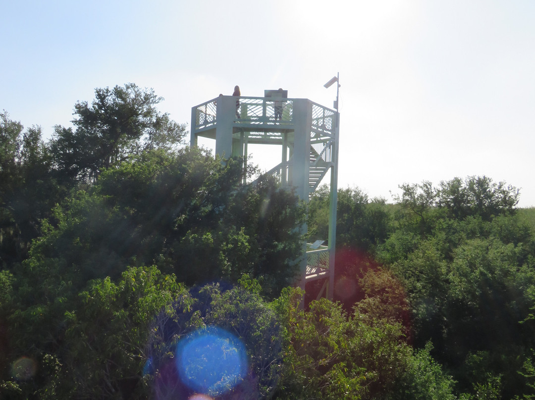 Santa Ana National Wildlife Refuge-Alamo必去景点