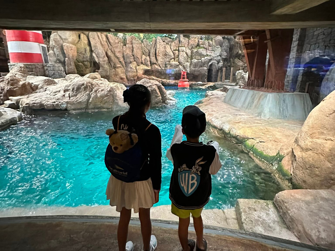 SeaWorld Yas Island Abu Dhabi-阿布扎比必去景点