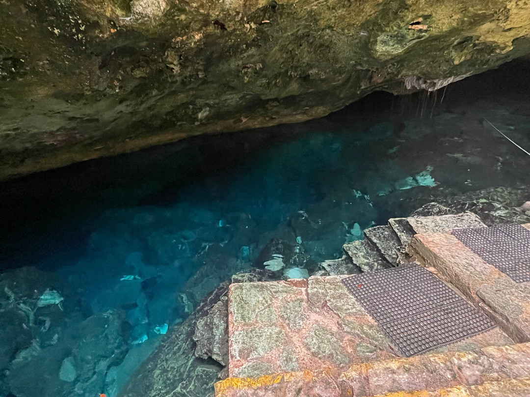 Dressel Divers Playa Del Carmen-普拉亚德尔卡曼必去景点