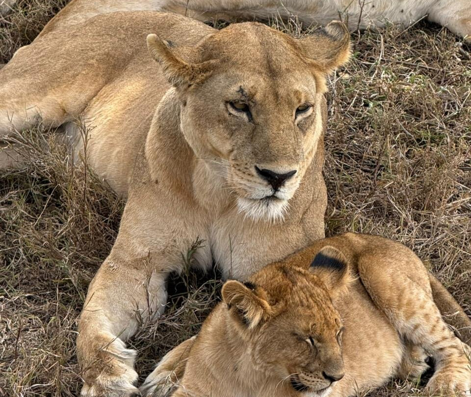 Earth Adventure-马斯喀特必去景点